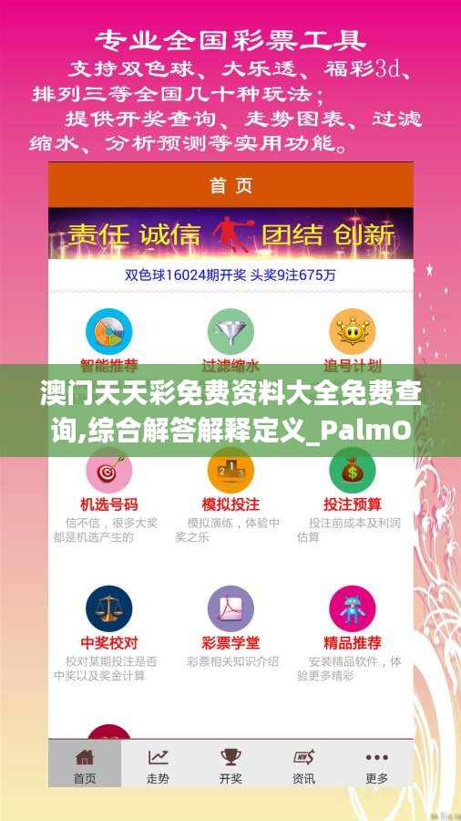 澳门天天彩免费资料大全免费查询,综合解答解释定义_PalmOS16.585