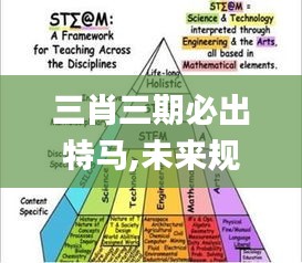 三肖三期必出特马,未来规划解析说明_Executive6.858