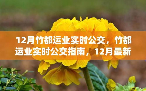 小家碧玉 第4页