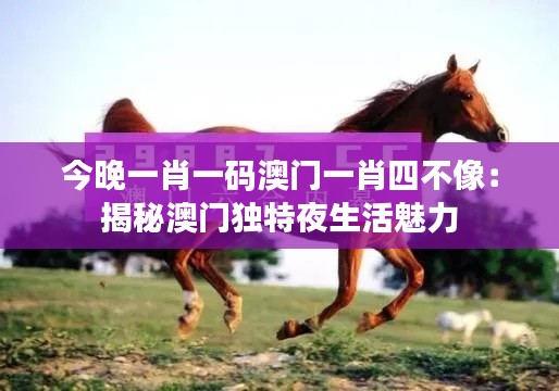 关于我们 第449页