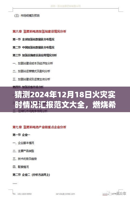 2024年火灾实时汇报范文，燃烧希望之火，成长之路与励志篇章的启示