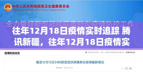 观察报告