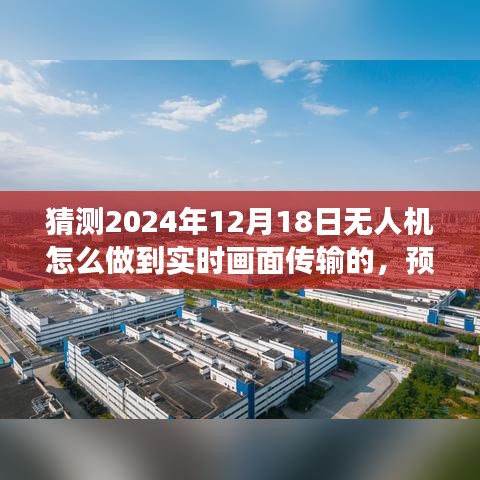 展翅高飞 第3页