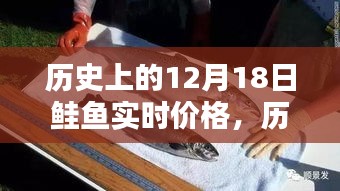深度解析与评测报告