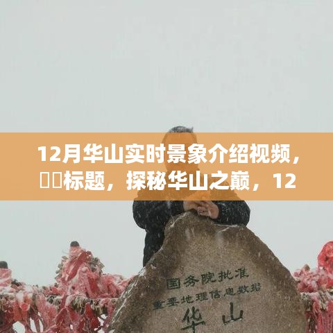 实时感受