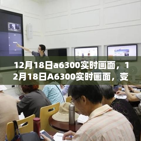 坚持不懈 第4页