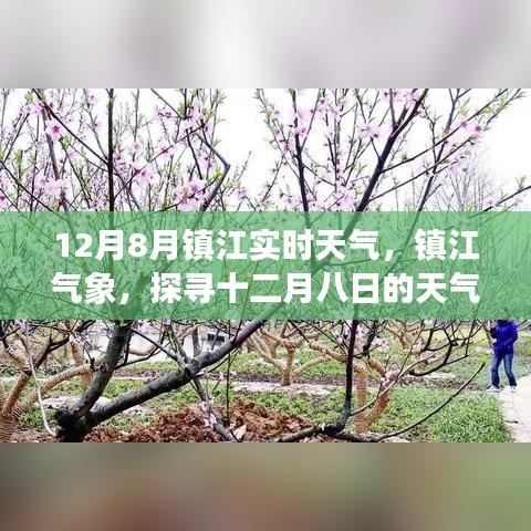 镇江十二月八日天气实况及气象影响探索