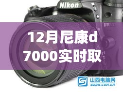 特性解析
