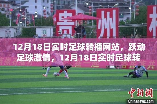 半截鸟木 第3页