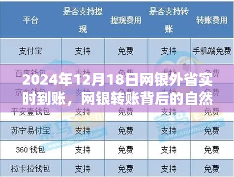 网银转账背后的探索之旅，心灵宁静的自然之旅（网银外省实时到账）