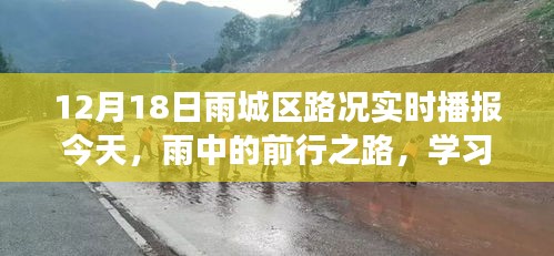 雨城区实时路况播报，雨中前行之路，展现学习变化与乐观的力量