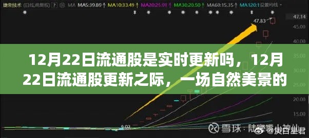 12月22日流通股更新与美景的心灵之旅，实时动态解析及体验报告