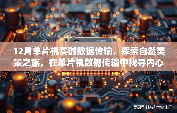 单片机实时数据传输，自然美景之旅中的心灵探索与宁静之旅