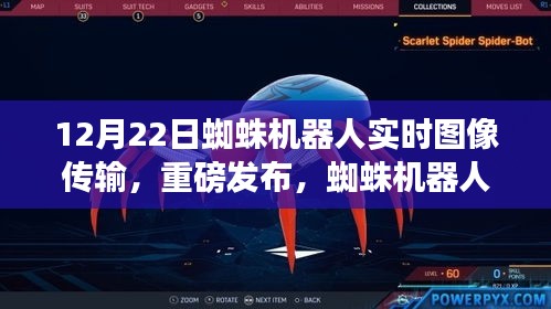 百不获一 第4页
