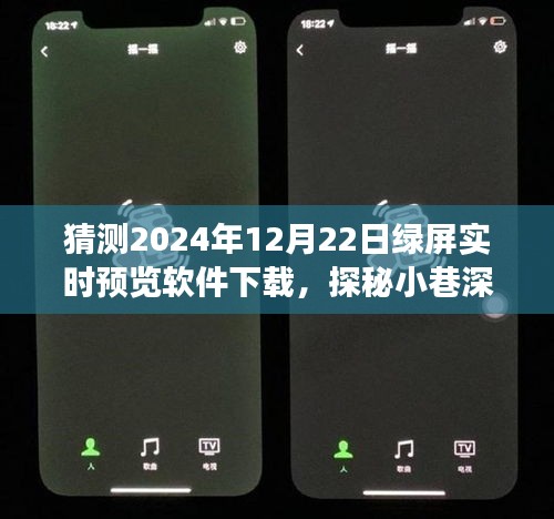 铺张扬厉 第3页