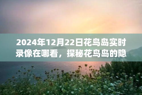 打马虎眼 第3页