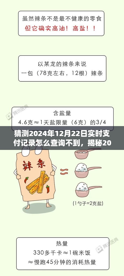 揭秘2024年支付系统，为何无法查询实时支付记录？专家解读与解决方案。