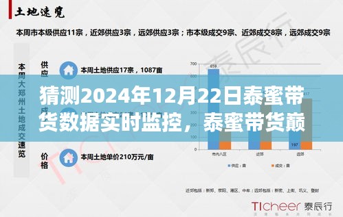 揭秘，泰蜜带货巅峰背后的故事——2024年12月22日实时数据监控分析