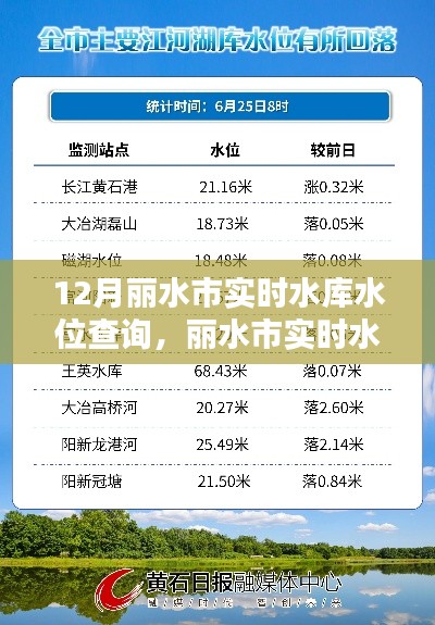 丽水市实时水库水位查询指南，初学者与进阶用户适用