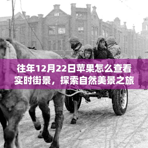 心灵与自然之旅