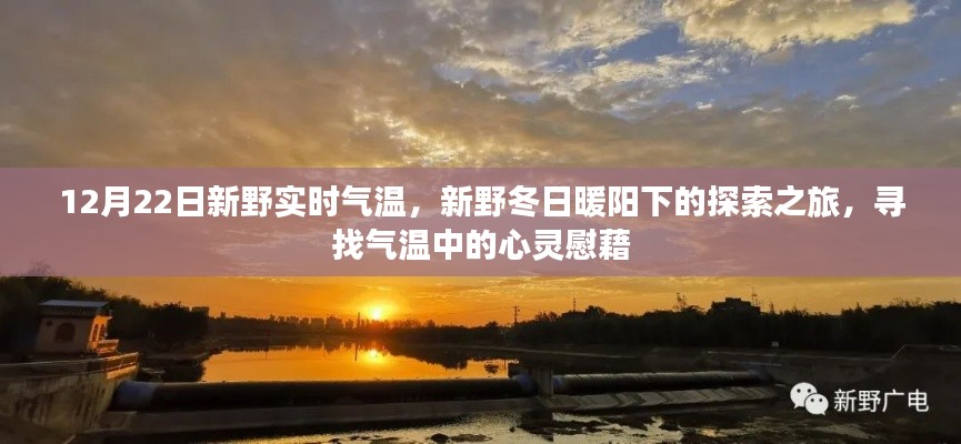 新野冬日暖阳下的气温探索之旅，寻找心灵慰藉的温暖时刻