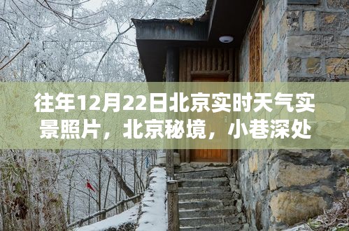 实时天气实景