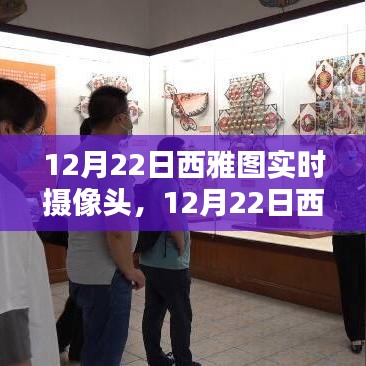 12月22日西雅图实时摄像头下的魅力瞬间捕捉