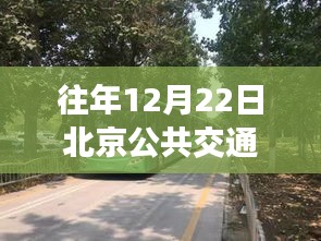 探秘北京公交查询秘境，特色小店带你领略公交实时查询的魅力