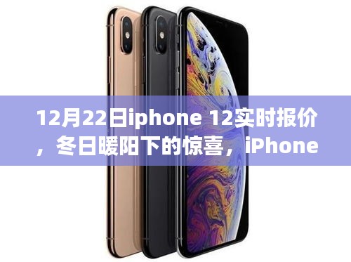 冬日暖阳下的惊喜，iPhone 12实时报价与友情小狂欢
