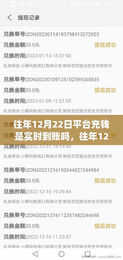 真相揭秘
