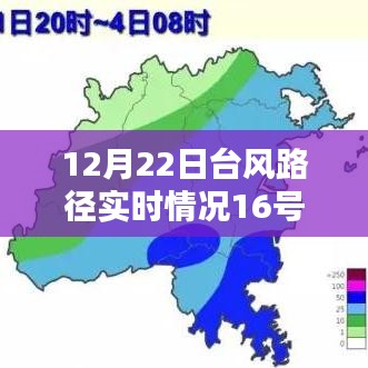 动态关注