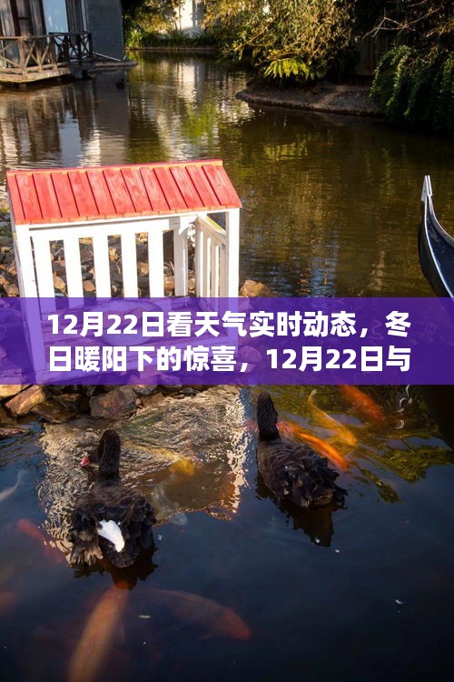惊喜邂逅