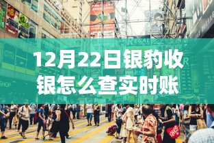 探秘小巷特色小店，银豹收银实时查账指南（12月22日版）
