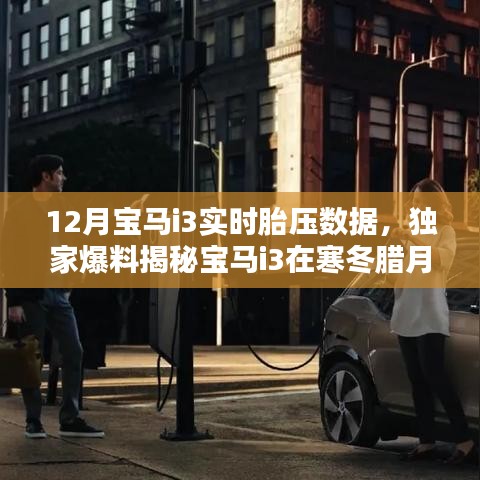独家揭秘