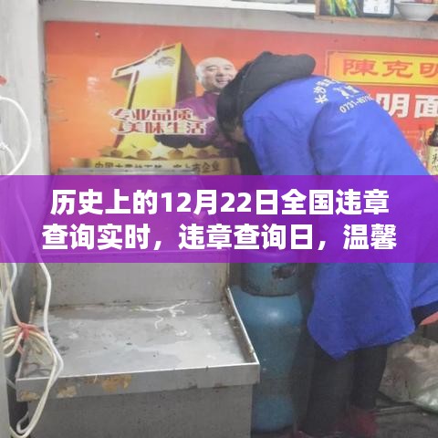 历史上的违章查询日，意外惊喜与温馨纽带中的探寻