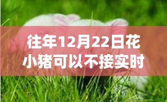 探索自然美景