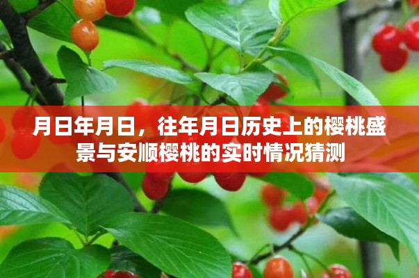 安顺樱桃盛景，历史盛景与当下猜想