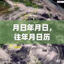 鸟面鹄形 第3页