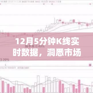 揭秘市场利器，12月实时K线数据解析