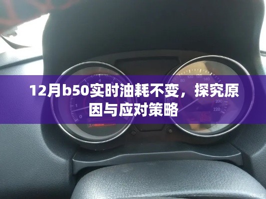 B50实时油耗不变原因解析及应对方案