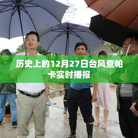 鸟革翬飞 第3页
