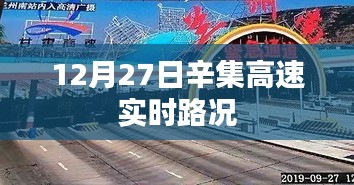 硕果仅存 第4页