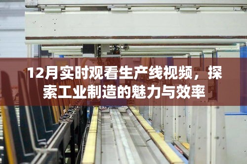 探索工业制造魅力与效率，生产线视频实时观看