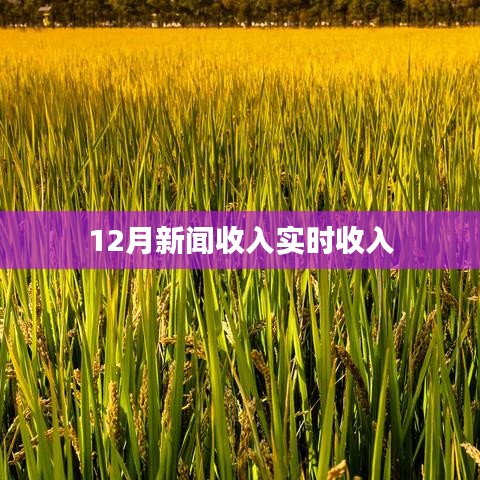 雅人深致 第4页