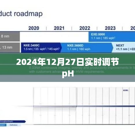 2024年实时调节pH值技巧大揭秘。