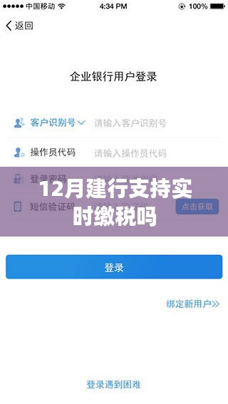 建行实时缴税服务介绍，12月也能享受实时缴税吗？