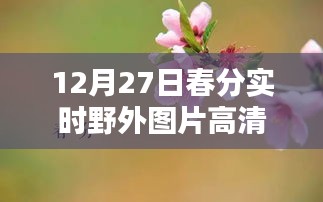 娇小玲珑 第3页