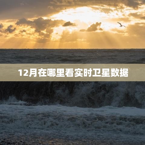 12月实时卫星数据观测指南
