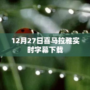 喜气洋洋 第4页