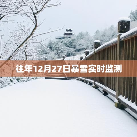 一花独放 第3页